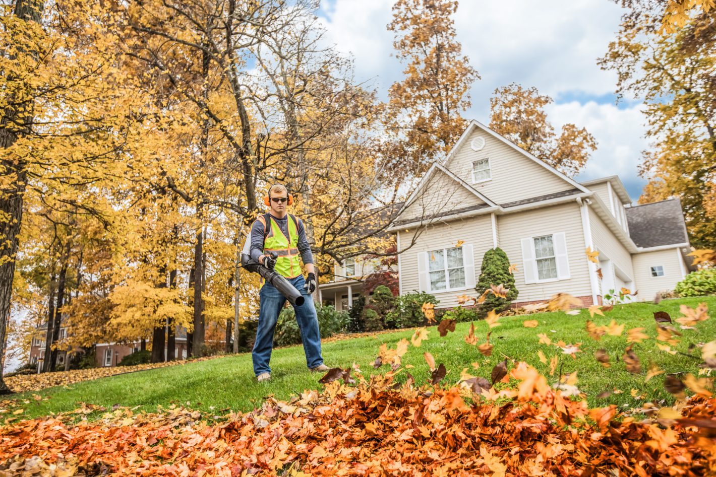 Stihl Dealer | Premier Power